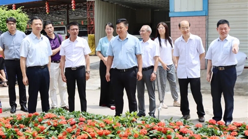 自治區政協(xié)常委、梧州市政協(xié)主席黃振饒蒞臨百裕集團走訪(fǎng)調研